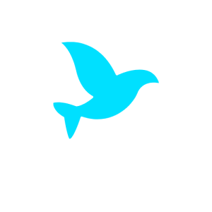 Logo ICV