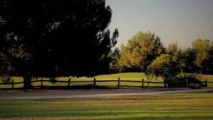 Imagen naturaleza de campo